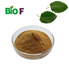 50% Flavonoids Mulberry Leaf Extract White Mulberry Leaves Extract Powder