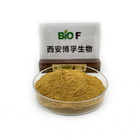 High Quality Rosemary Extract Rosmarinic Acid 35% Water Soluble Rosmarinic Acid 50%