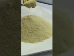 薄茶