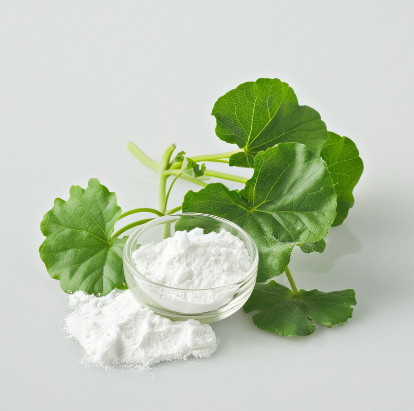 Natural Herbal Centella Asiatica Extract 70% Asiaticoside Powder